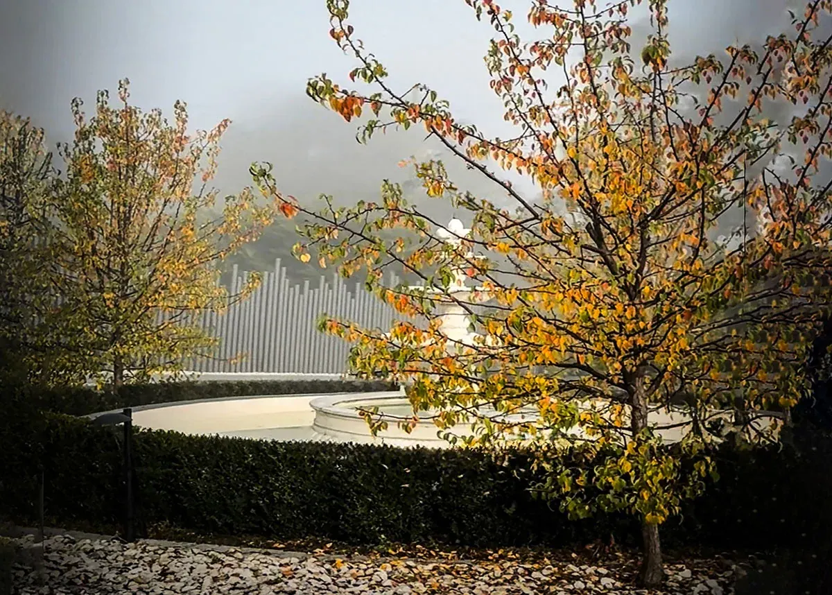 The Framed Garden — interior view 9