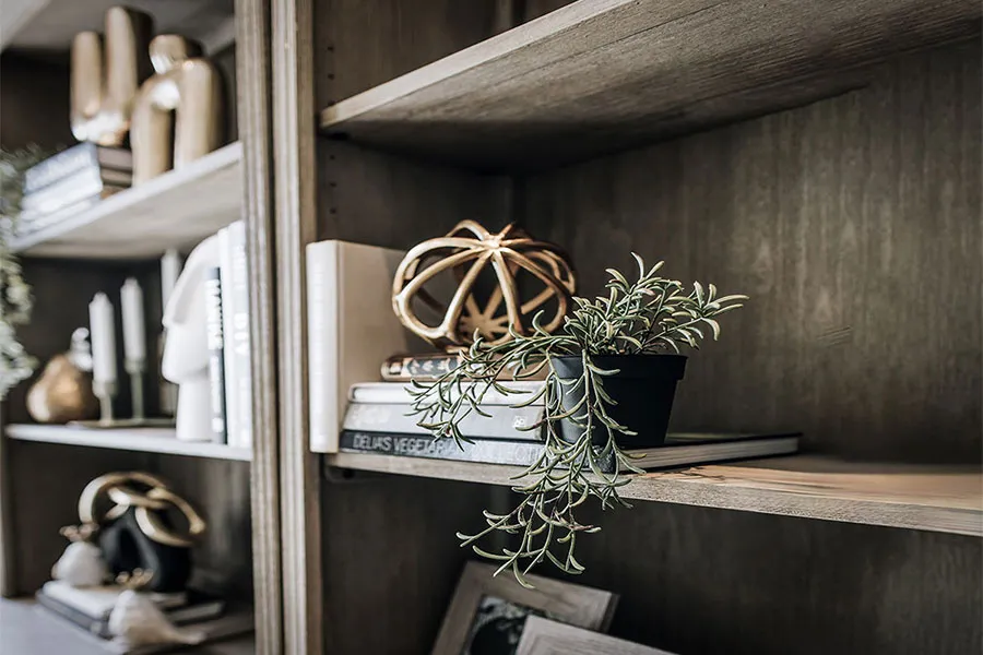 Styled timber bookshelf with a trailing plant and gold ornament